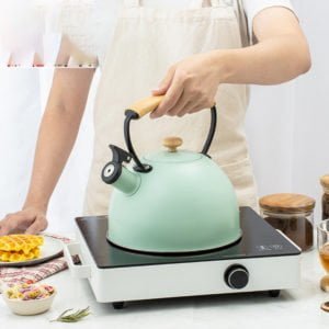 Tea Kettle Classic Boiling Whistling Kettle