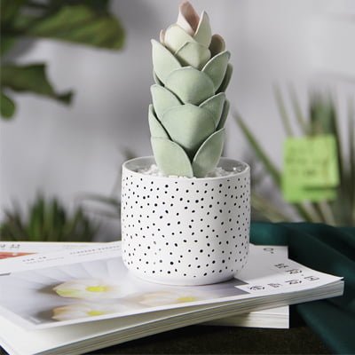 Plant Pots Modern Simple Ceramic Flower Pots