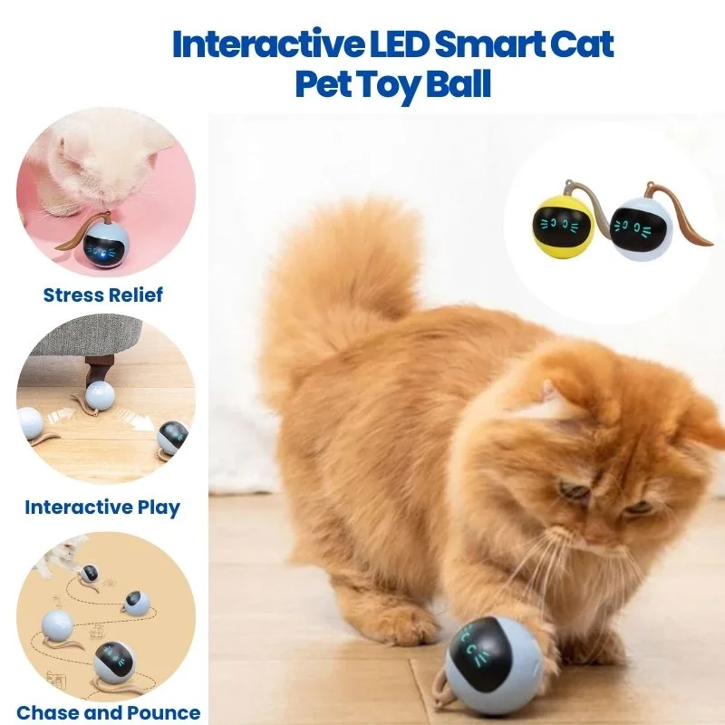 Interactive LED Smart Cat Pet Toy Ball