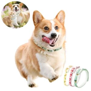 Pet Cat Dog Non-Toxic Repellent Anti Flea Collar